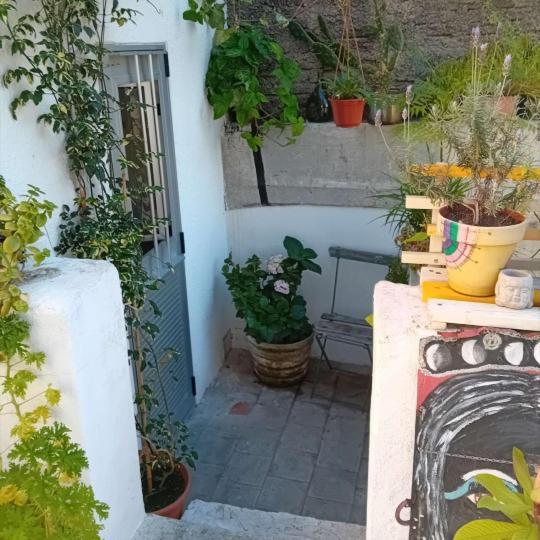 Youki Haus Hostel Μοντεβιδέο Εξωτερικό φωτογραφία